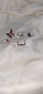 5 Pcs Scarlet Nocturne Set
