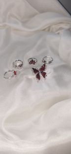 5 Pcs Scarlet Nocturne Set