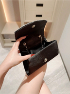 Luminous Pleated Clutch Elitaire
