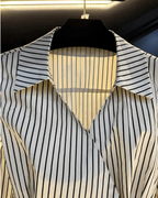 Contour Stripe Shirt